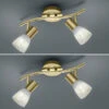 Trio Leuchten 2er SET 2-flammige Deckenstrahler Messing, Glasschirme Schwenkbar Breite 33cm