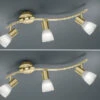 Trio Leuchten 2er Set LED Deckenstrahler 3-flammig Messing Glasschirme Schwenkbar, Breite 55cm