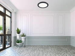 Reality Leuchten Dimmbare LED Deckenleuchte CAMILLUS Flache Badezimmerlampe Ø26cm Schwarz IP44 10 Reality Leuchten Dimmbare LED Deckenleuchte CAMILLUS Flache Badezimmerlampe Ø26cm Schwarz IP44 -Globo Store dimmbare led deckenleuchte camillus flache badezim 18