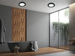 Reality Leuchten Dimmbare LED Deckenleuchte CAMILLUS Flache Badezimmerlampe Ø17cm Schwarz IP44 10 Reality Leuchten Dimmbare LED Deckenleuchte CAMILLUS Flache Badezimmerlampe Ø17cm Schwarz IP44 -Globo Store dimmbare led deckenleuchte camillus flache badezim 24