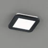 Reality Leuchten Dimmbare LED Deckenleuchte CAMILLUS Flache Badezimmerlampe 17x17cm Schwarz IP44