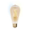 ECO-LIGHT E27 Filament LED Leuchtmittel - 9 Watt, 806 Lumen, 2200 - 5500K, Ø6,4cm Dimmbar