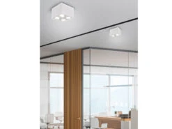 Trio Leuchten Eckiger Deckenstrahler BISCUIT Mit Zwei Schwenkbaren GU10 Spots, Weiß Matt -Globo Store eckiger deckenstrahler biscuit mit zwei schwenkbar 10