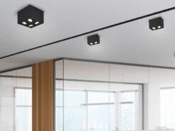 Trio Leuchten Eckiger Deckenstrahler BISCUIT Mit Zwei Schwenkbaren GU10 Spots, Schwarz Matt -Globo Store eckiger deckenstrahler biscuit mit zwei schwenkbar 3