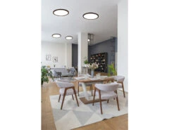 Reality Leuchten Flache LED Deckenleuchte AUREO Schwarz, Dimmbar, RGB Farbwechsler - Ø29cm 13 Reality Leuchten Flache LED Deckenleuchte AUREO Schwarz, Dimmbar, RGB Farbwechsler - Ø29cm -Globo Store flache led deckenleuchte aureo schwarz dimmbar rgb 2