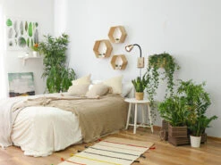 Trio Leuchten Flexible Leselampe WANDA, Wandleuchte Mit & Ohne Stecker, Messing Matt 14 Trio Leuchten Flexible Leselampe WANDA, Wandleuchte Mit & Ohne Stecker, Messing Matt -Globo Store flexible leselampe wanda wandleuchte mit ohne stec 22