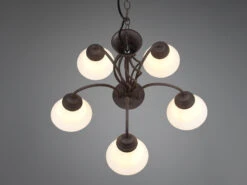 MeineWunschleuchte Kronleuchter Landhaus 5-flammig Mit LED Dimmbar, Rostoptik & Lampenschirme Glas 13 MeineWunschleuchte Kronleuchter Landhaus 5-flammig Mit LED Dimmbar, Rostoptik & Lampenschirme Glas -Globo Store kronleuchter landhaus 5 flammig mit led dimmbar ro 4
