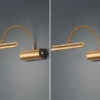 Trio Leuchten LED Bilderleuchte Im 2er Set In Altmessing Mit Flexarm & Drehdimmer