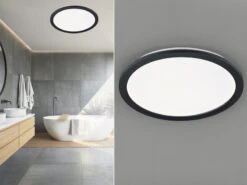 Trio Leuchten LED Deckenleuchte CAMILLA Schwarz Matt Mit Switch Dimmer, Ø 40cm IP44