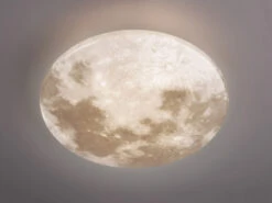 Reality Leuchten LED Deckenleuchte MOONIKA Mondcover In Weiß Ø37cm, IP44 Badlampe 11 Reality Leuchten LED Deckenleuchte MOONIKA Mondcover In Weiß Ø37cm, IP44 Badlampe -Globo Store led deckenleuchte moonika mondcover in weiss 37cm 1 2