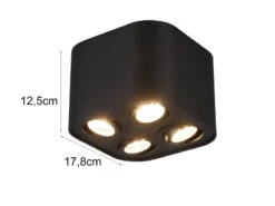 MeineWunschleuchte Runder LED Deckenstrahler Mit Vier Schwenkbaren Spots, Schwarz Matt -Globo Store runder led deckenstrahler mit vier schwenkbaren sp 3