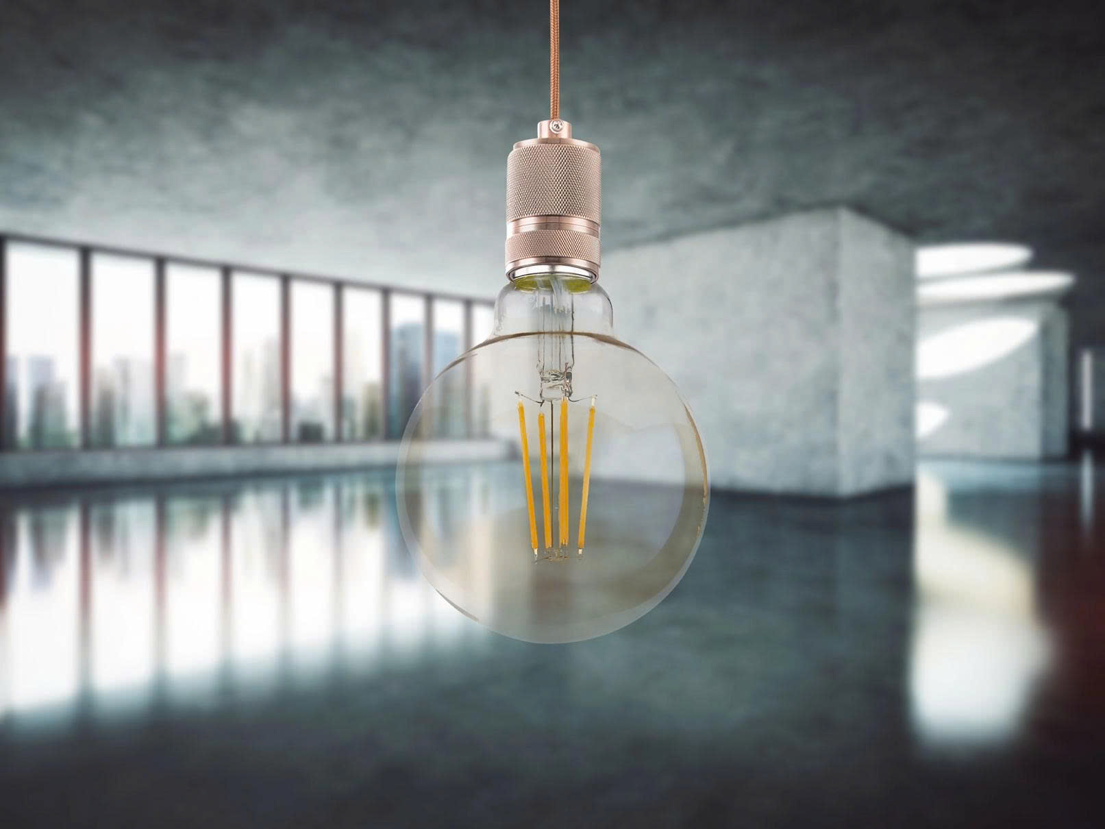 Globo Store -Globo Store z6687442314453 bb1e218f8f095621518726b486aba9e5